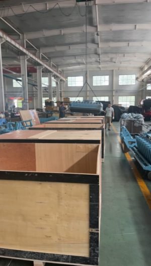 ANXI Garlic Machine (2)